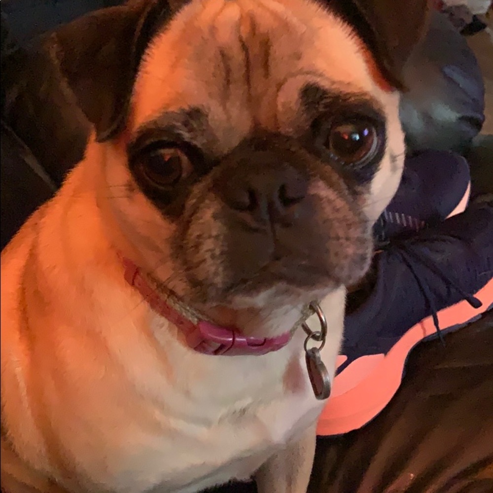 Meet your Posher, Tracie